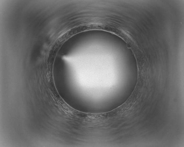 X0000052631015200507081934
