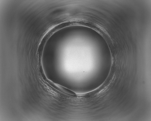X0000052631021200507081934