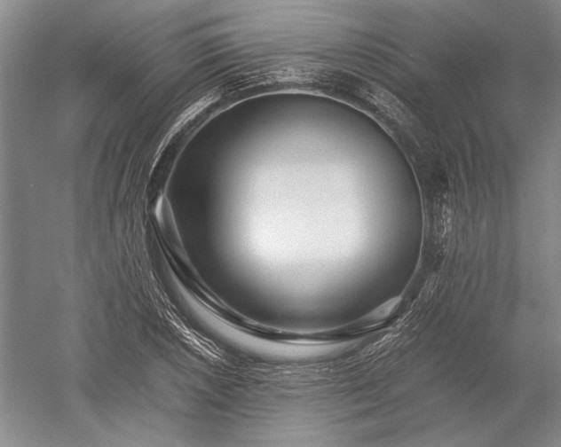 X0000052631026200507081934