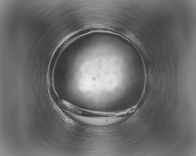 X0000052631028200507081934