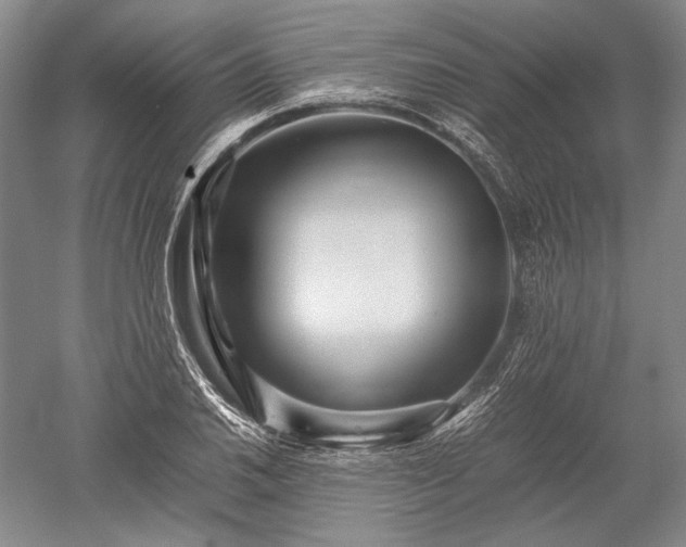 X0000052631030200507081934