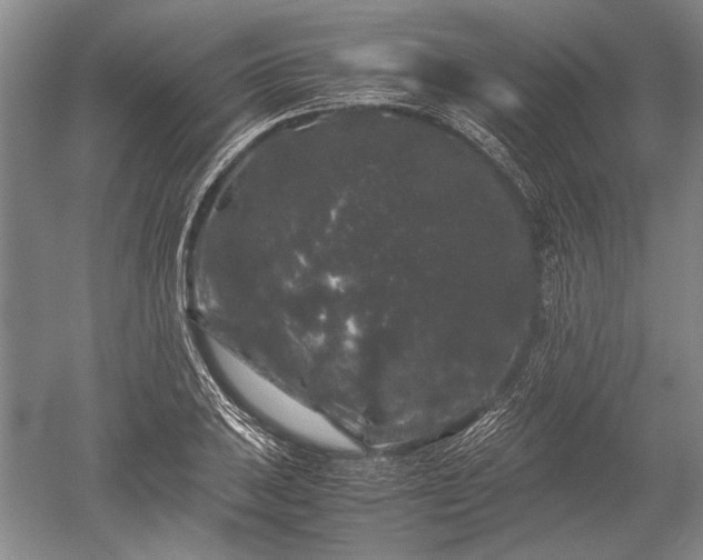 X0000052631031200507081934