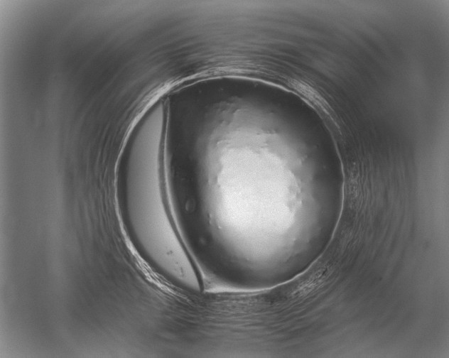 X0000052631047200507081934