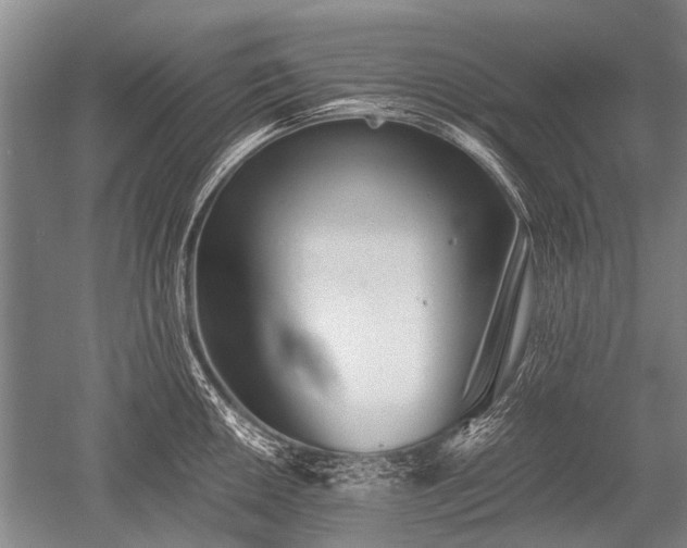 X0000052631050200507081934