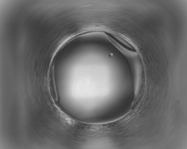 X0000052631056200507081934