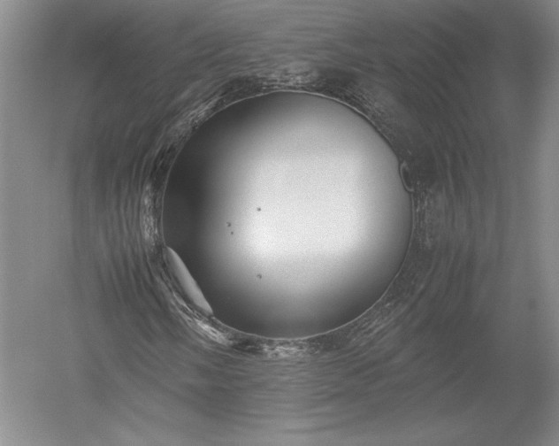 X0000052631058200507081933