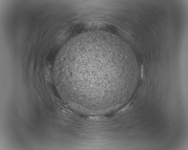 X0000052631059200507081933