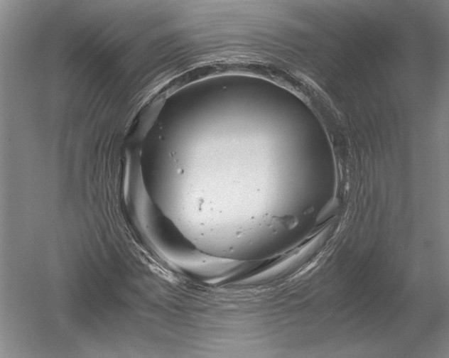 X0000052631065200507081933