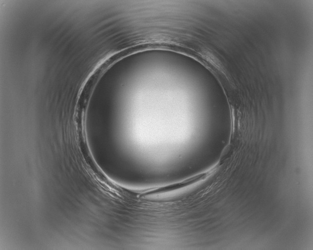 X0000052631068200507081933
