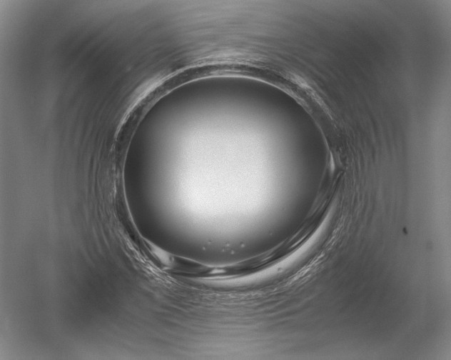 X0000052631069200507081933