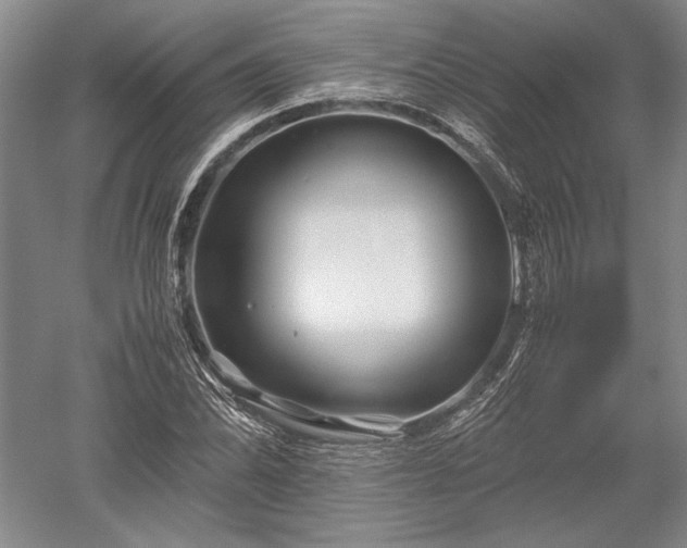 X0000052631070200507081933