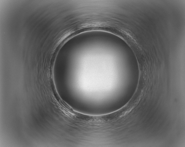 X0000052631073200507081933