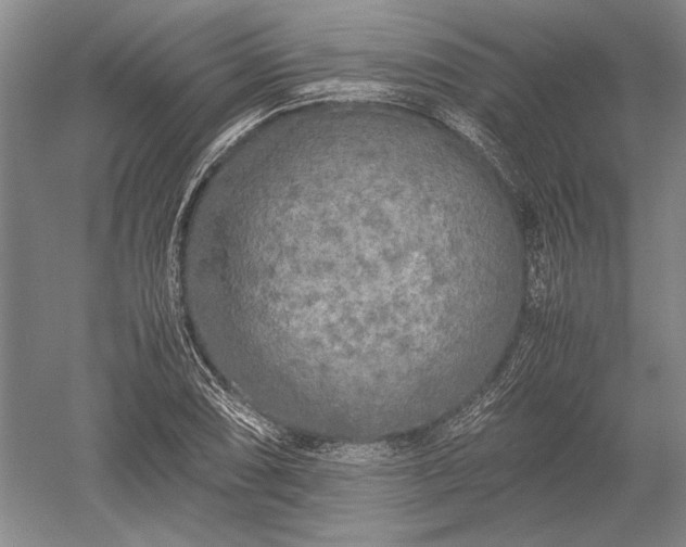 X0000052631074200507081933