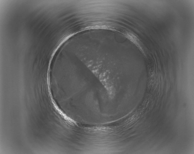 X0000052631084200507081933