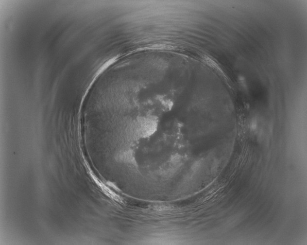 X0000052631095200507081933