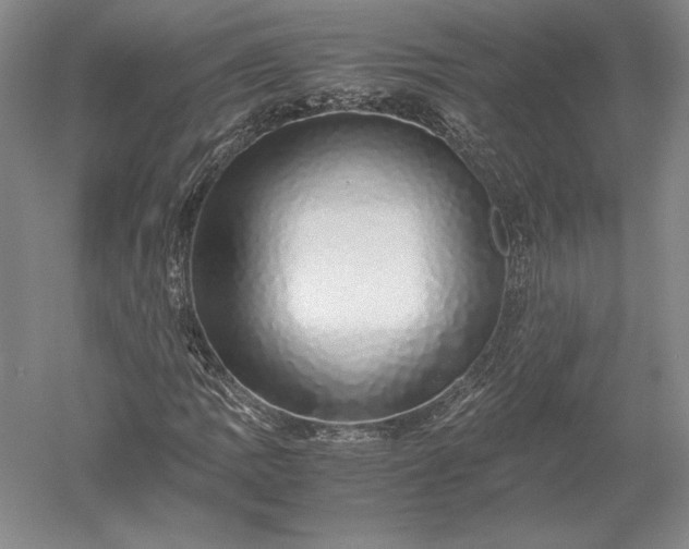 X0000052631109200507081932