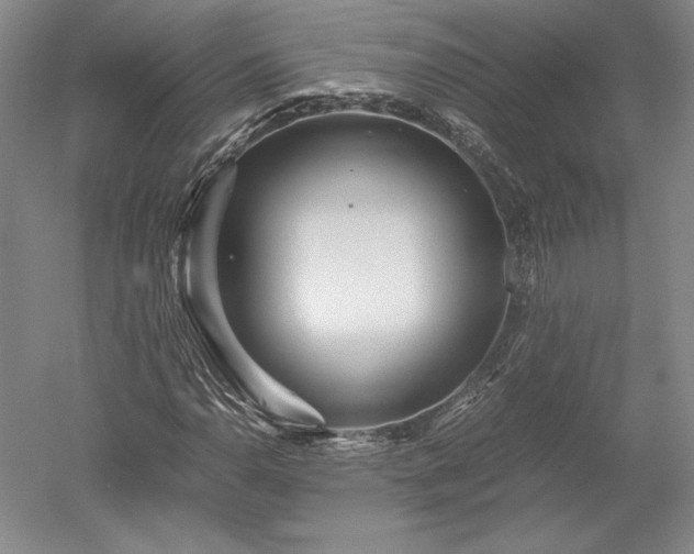 X0000052631110200507081932