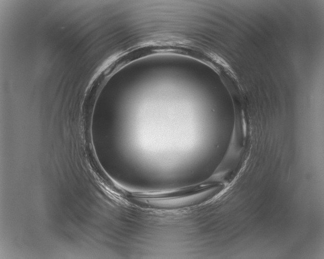 X0000052631114200507081932