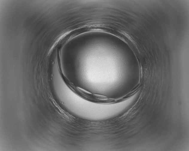 X0000052631115200507081932