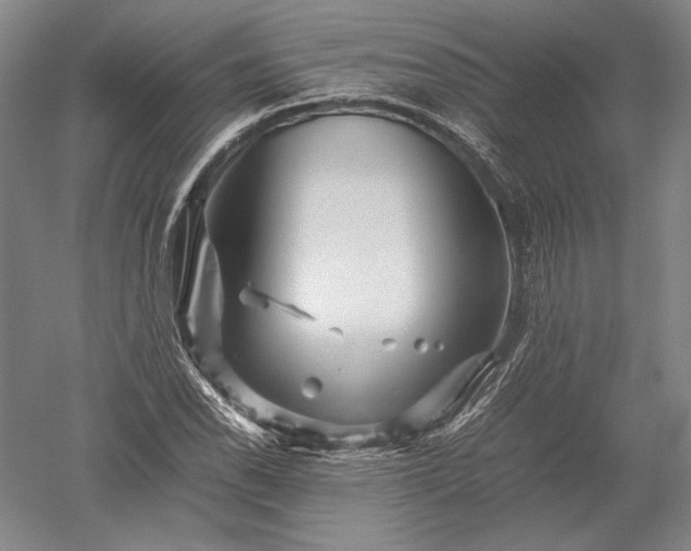 X0000052631118200507081932