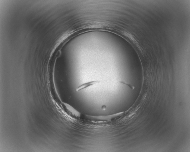 X0000052631122200507081932