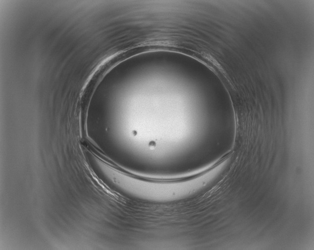 X0000052631123200507081932