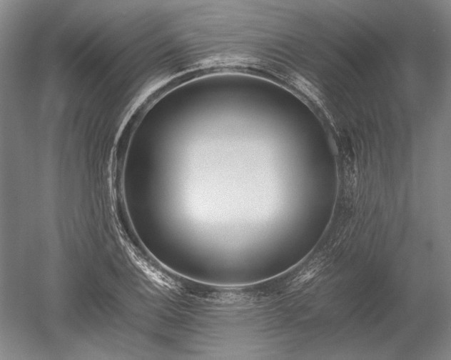 X0000052631124200507081932