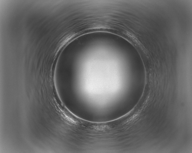 X0000052631129200507081932
