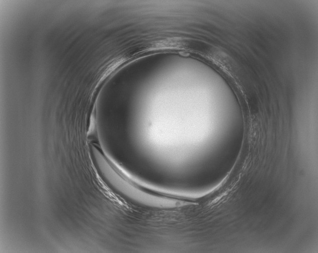 X0000052631137200507081932