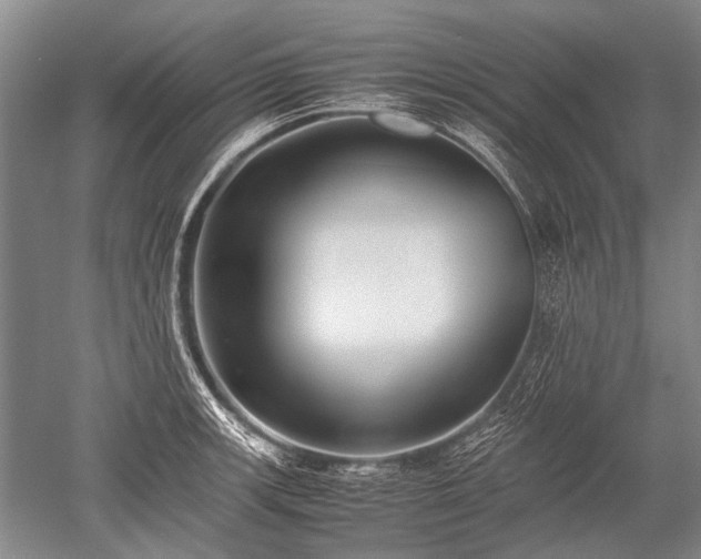 X0000052631139200507081932