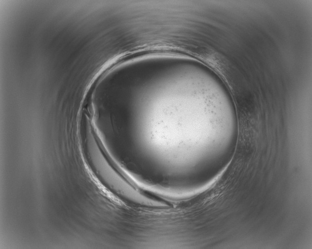X0000052631142200507081933