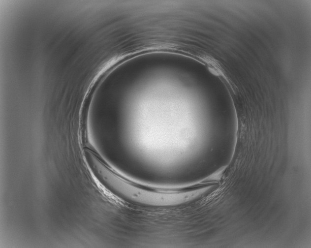 X0000052631143200507081933