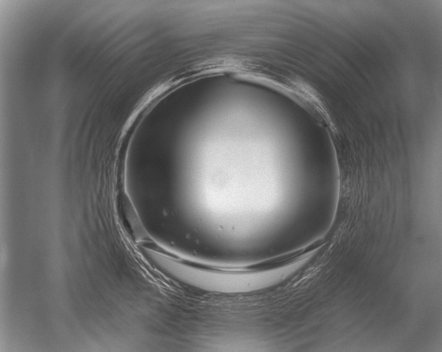 X0000052631146200507081933