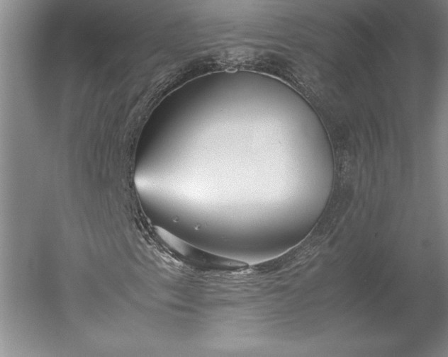 X0000052631153200507081932