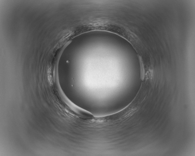 X0000052631156200507081932