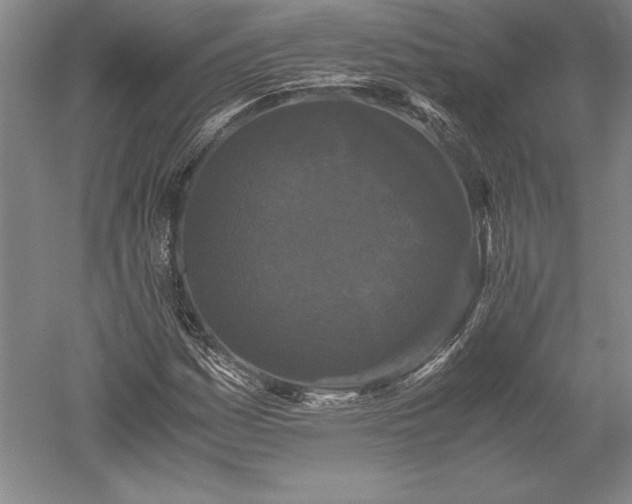 X0000052631161200507081932
