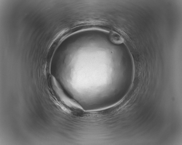 X0000052631163200507081932