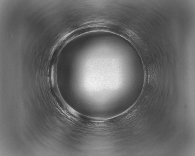 X0000052631164200507081932