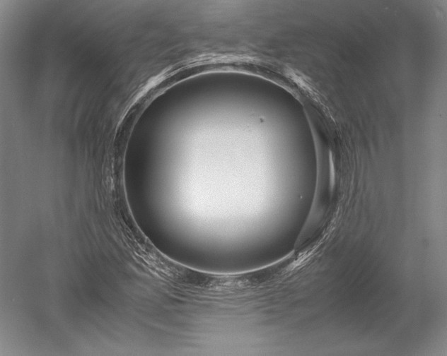X0000052631165200507081932
