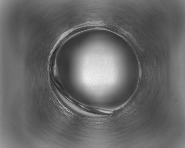 X0000052631168200507081932