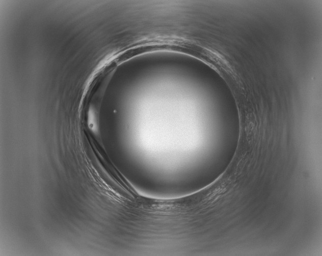 X0000052631172200507081932