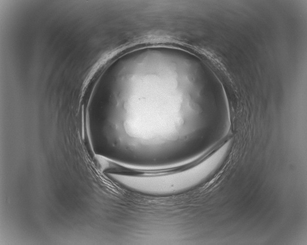 X0000052631175200507081931