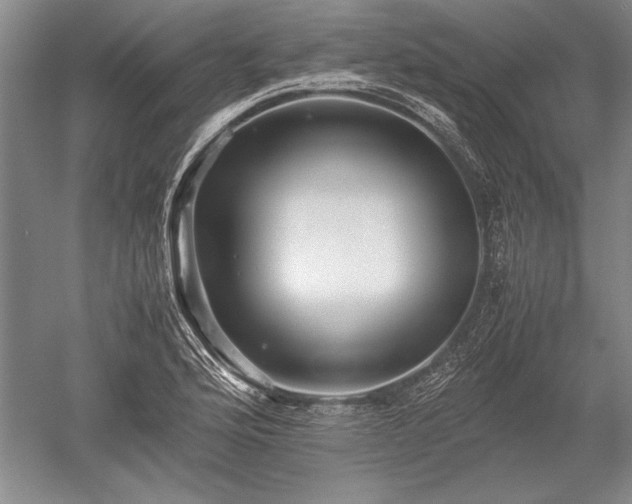 X0000052631176200507081931