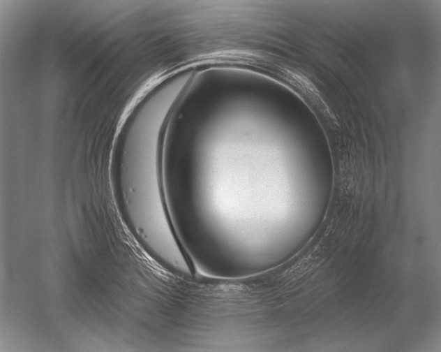 X0000052631180200507081931