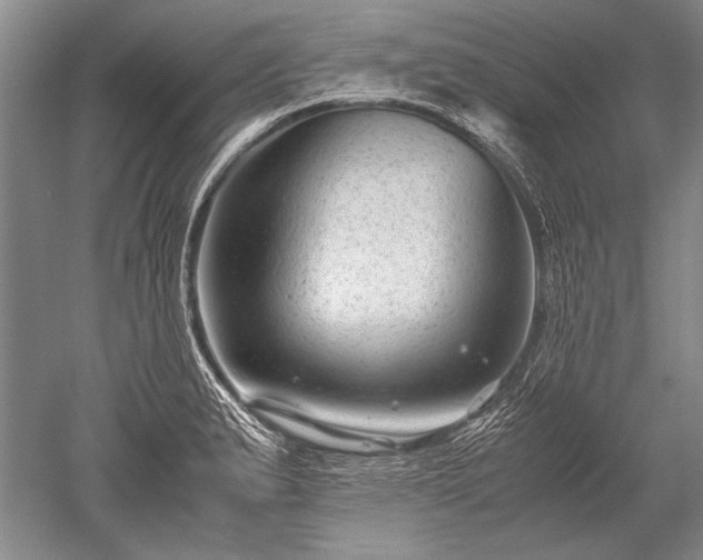 X0000052631183200507081931