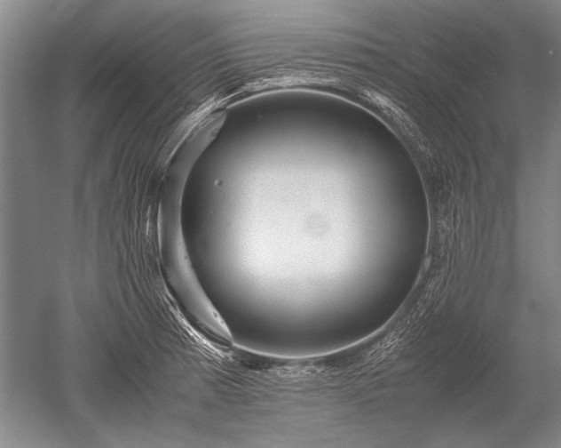 X0000052631185200507081931