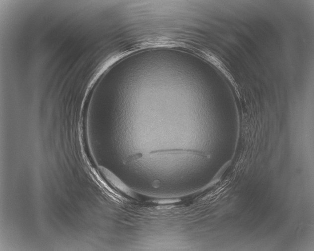 X0000052631187200507081931
