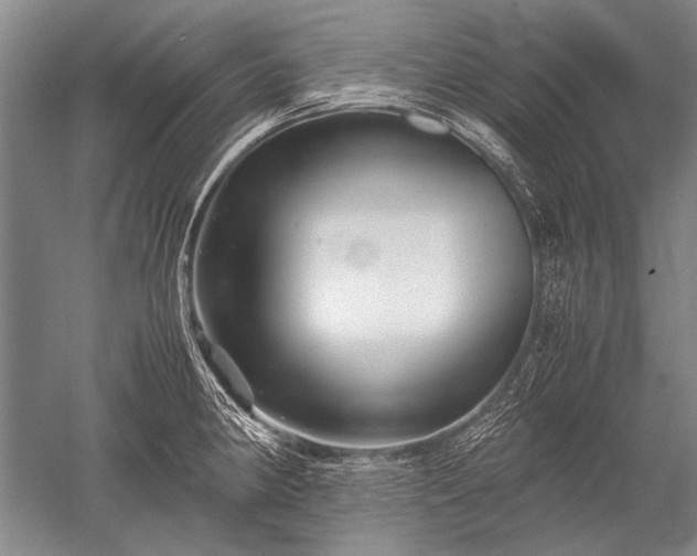 X0000052631190200507081931
