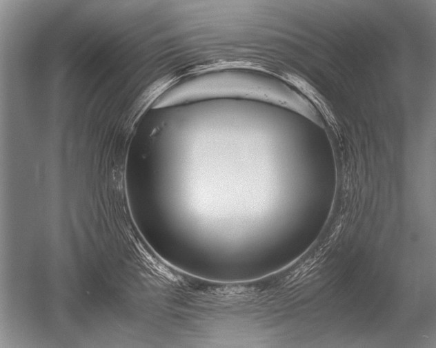 X0000052631193200507081931