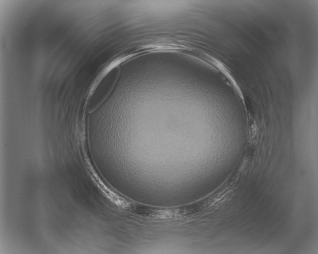 X0000052631195200507081931